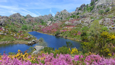 Portugal-Northern Portugal-Introduction to Trail Riding in Peneda Gerês